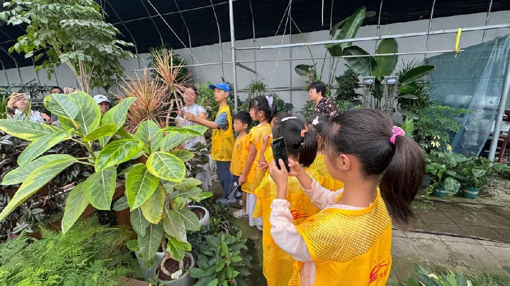 河北唐山：旧瓶新生花间小匠 趣享自然乐享暑假