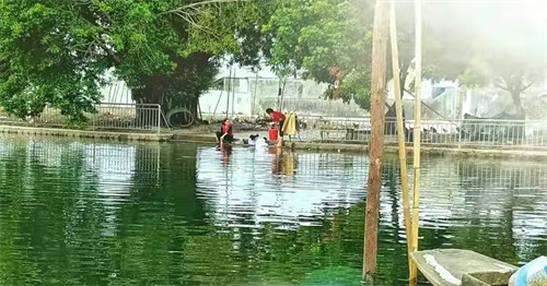 探南潮古韵，悟乡村蝶变之美