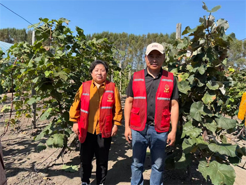 吉林长春：暖心助农显担当 爱心接力助力老兵葡萄销售